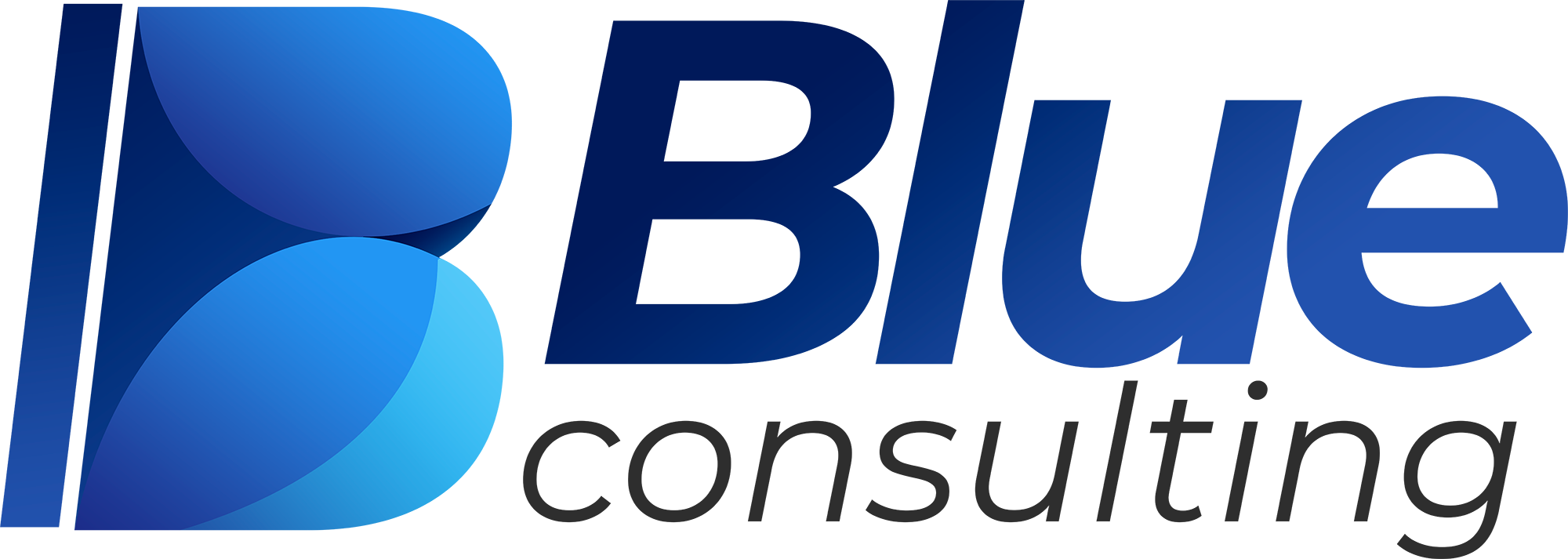Blue Consulting